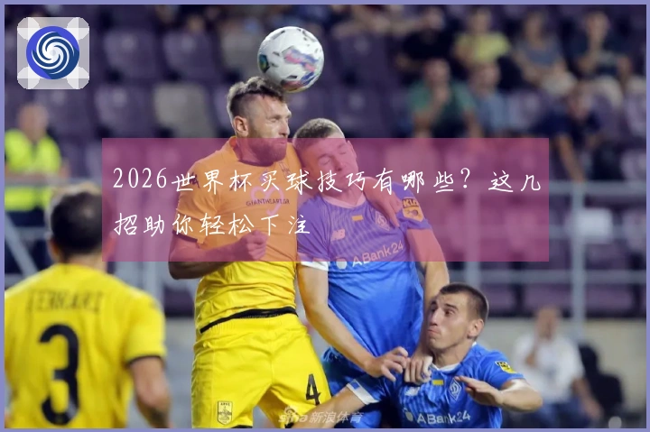 2026世界杯买球技巧有哪些?这几招助你轻松下注