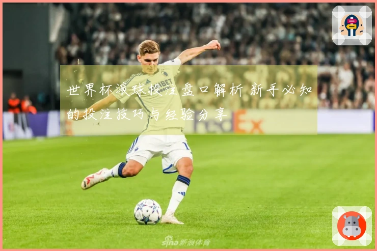 世界杯滚球投注盘口解析 新手必知的投注技巧与经验分享