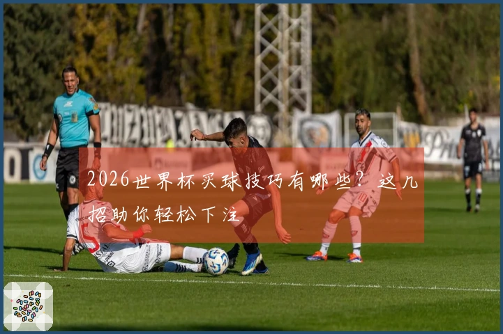 2026世界杯买球技巧有哪些？这几招助你轻松下注
