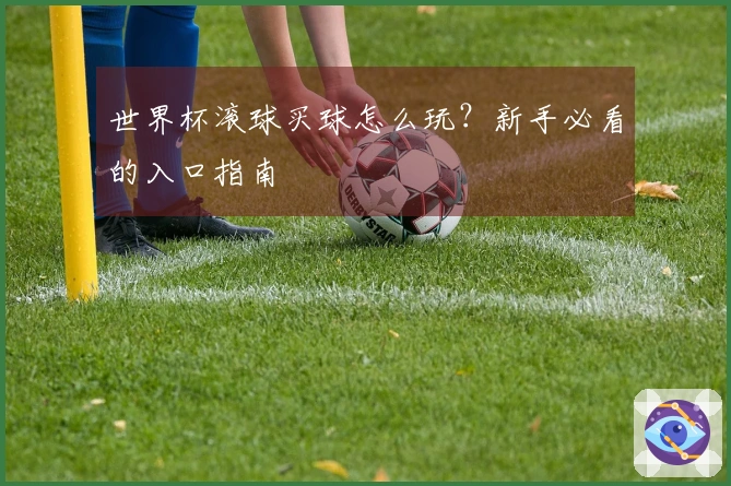 世界杯滚球买球怎么玩？新手必看的入口指南