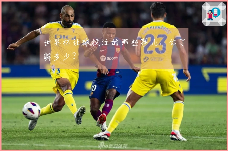 世界杯让球投注的那些事儿，你了解多少？