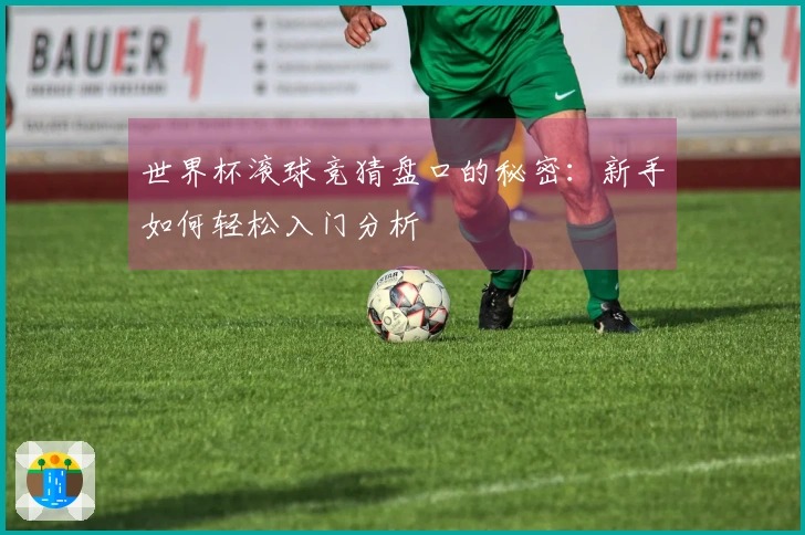 世界杯滚球竞猜盘口的秘密：新手如何轻松入门分析