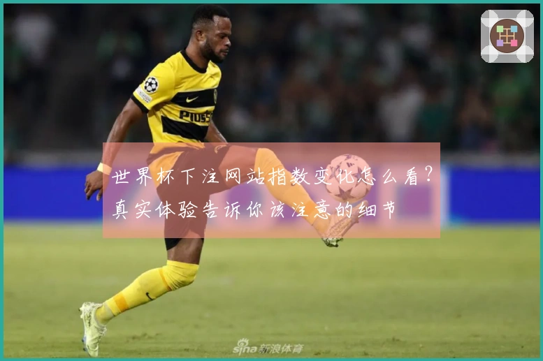 世界杯下注网站指数变化怎么看？真实体验告诉你该注意的细节