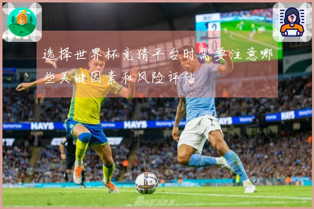 选择世界杯竞猜平台时需要注意哪些关键因素和风险评估