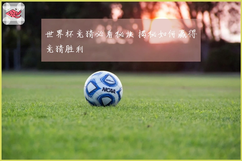 世界杯竞猜必看秘诀 揭秘如何赢得竞猜胜利