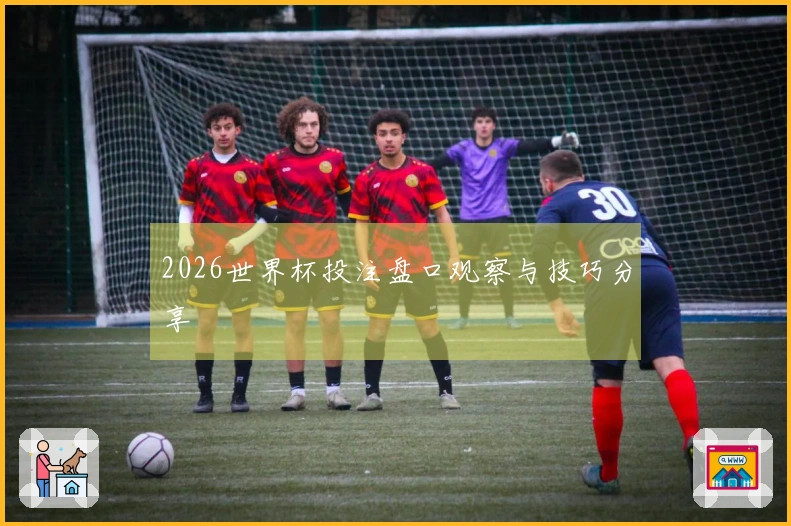 2026世界杯投注盘口观察与技巧分享